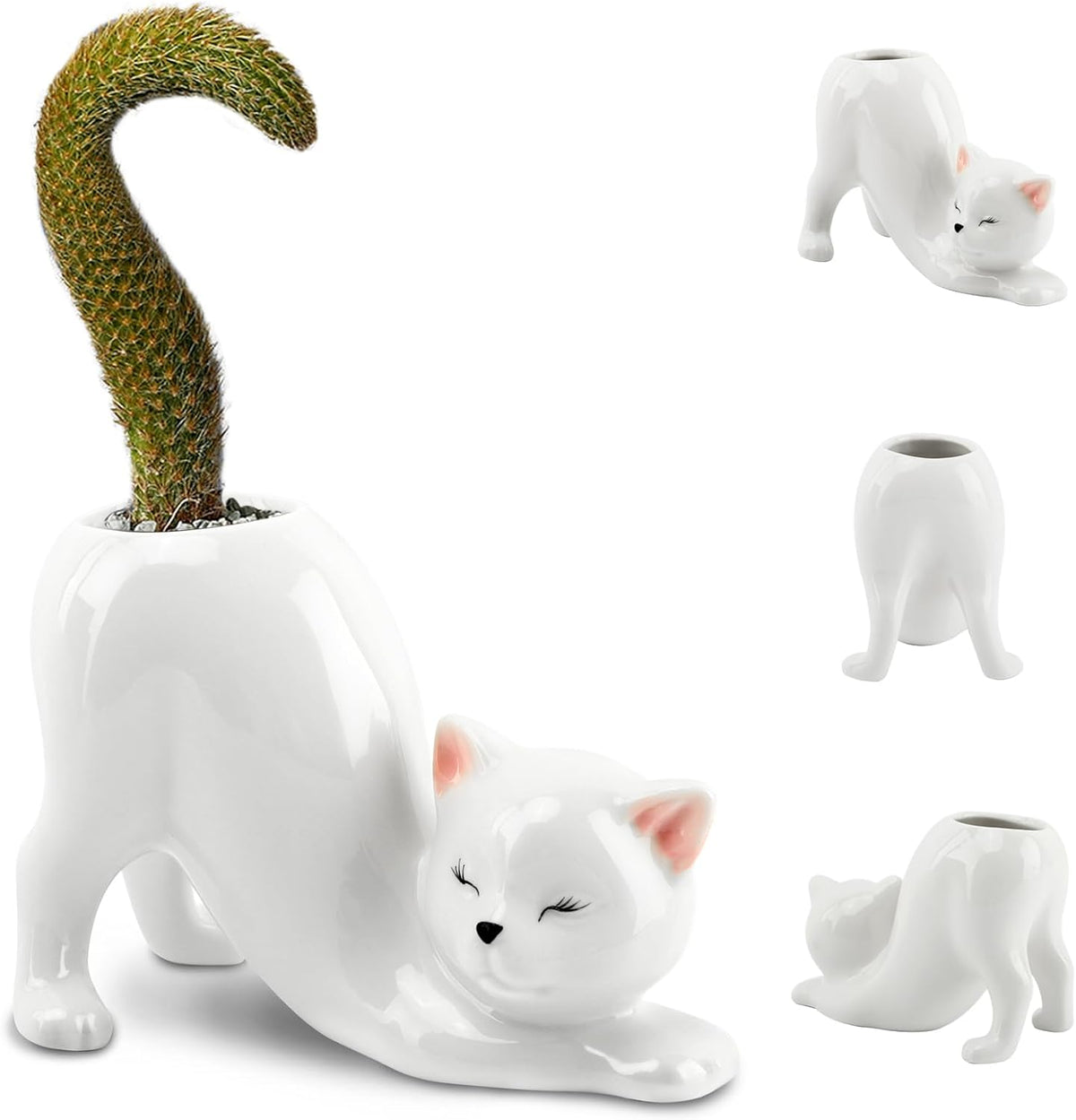 Purr-fectly Potted: The Cat-astrophic Ceramic Planter for Your Tiny Green Friends!