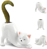 Purr-fectly Potted: The Cat-astrophic Ceramic Planter for Your Tiny Green Friends!